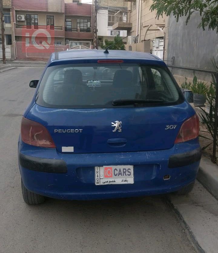 بیجۆ 307
